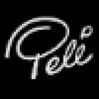 Pelé Sports USA, Inc. Logo