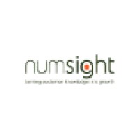 Numsight, Data Marketing Consulting Logo