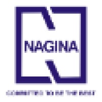 Nagina Group Logo