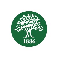 The International School of Choueifat ─ DIP Logo