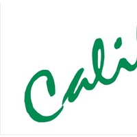 California Lighting Concepts Logo