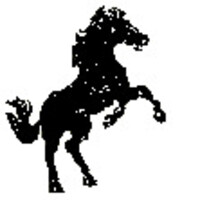 South Columbus High School Logo