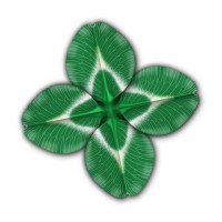 Cybor SA Logo