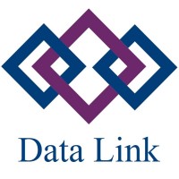 Data Link Information Services Logo