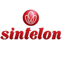 Sintelon doo Logo