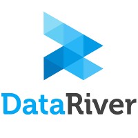 DataRiver Logo
