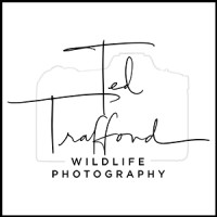 Trafford Photography Logo
