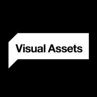 Visual Assets Logo