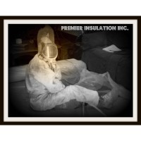 Premier Insulation Logo