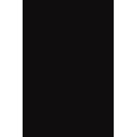 EyeSupply USA, Inc. Logo