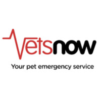 Vets Now Ltd Logo