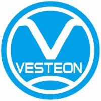 Shandong Vesteon Automotive Parts Group Co.,Ltd Logo