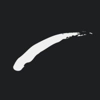 Canvus Logo