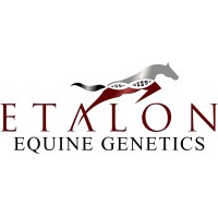 Etalon Inc Logo