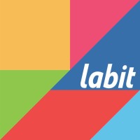 Labit Consulting (Pty) Ltd Logo