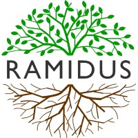 RAMIDUS CONSULTING LIMITED Logo