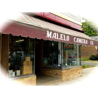 Malelo and Company Logo