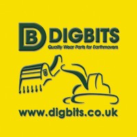 DIGBITS LIMITED Logo