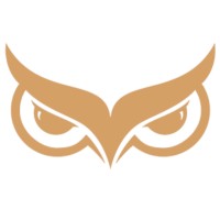 Wise Management Consulting Logo