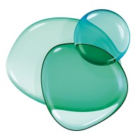 Verallia Brasil Logo