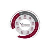 Vanquish Integrated People Solutions Logo