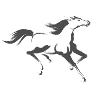 White Horse Energy Ltd Logo