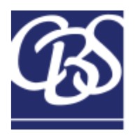 Capital Business Strategies Logo