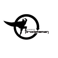 Professional Data Management Logo