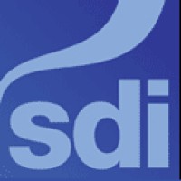 Simulation Dynamics Inc Logo