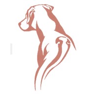Ridgeback Projects Ltd Logo