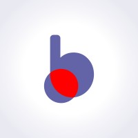 bNear.io Logo