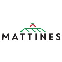 Domaine des Mattines SA Logo