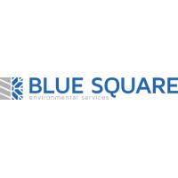 BLUE SQUARE ENVIRONMENTAL SERVICES LTD Logo