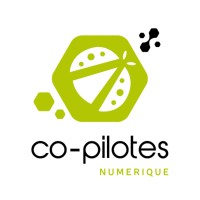 CO-PILOTES Numérique Logo
