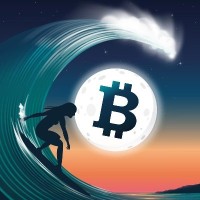 Surfin Bitcoin Logo