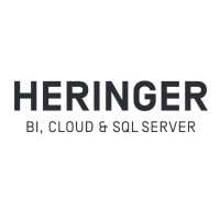 Heringer Consulting GmbH Logo