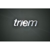 Triem Executive Search Logo