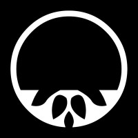 DEAD LOTUS COUTURE LIMITED Logo