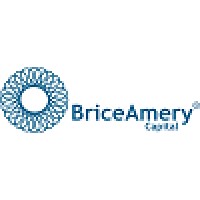 BriceAmery Capital Ltd Logo