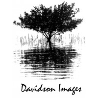Davidson Images Logo
