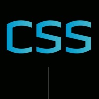 CSS | Castle Security Services Logo