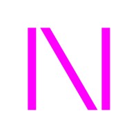 Nieve Consulting Services Logo