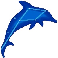 Delphinus Consulting Inc Logo