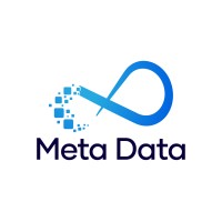 Meta Data Solutions Logo