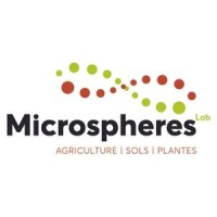 MICROSPHERES LAB Logo
