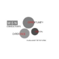 MSN Consultants Logo