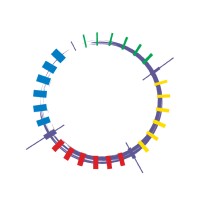 The Kaleidoscope Group Logo