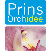 Prins Orchidee Logo