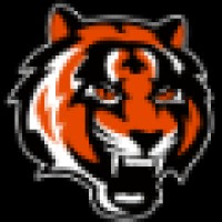 Tiger Muay Thai and MMA Training Camp, Phuket, Thailand Logo