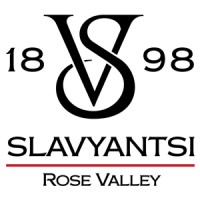 Vinex Slaviantsi Poland Logo